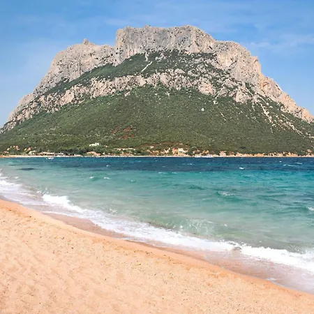 Mono Le Vele 700m From The - Happy アパート